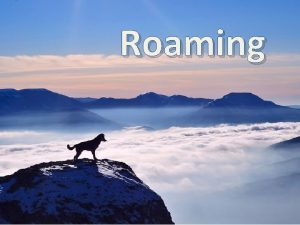 Roaming What is it The term roaming reference