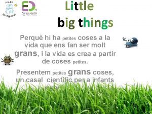 Little big things Perqu hi ha petites coses
