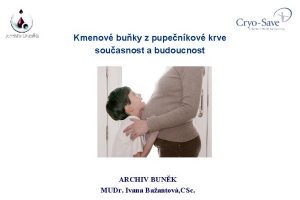 Kmenov buky z pupenkov krve souasnost a budoucnost