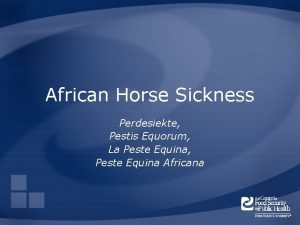 African Horse Sickness Perdesiekte Pestis Equorum La Peste