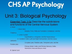 CHS AP Psychology Unit 3 Biological Psychology Essential