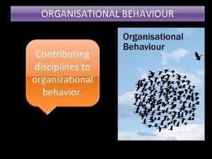 Disciplines of organisational behaviour