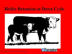 Heifer Retention in Down Cycle Keith Vander Velde