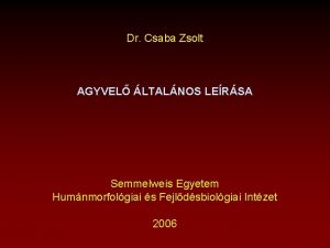 Dr Csaba Zsolt AGYVEL LTALNOS LERSA Semmelweis Egyetem