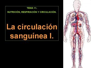 TEMA 11 NUTRICIN RESPIRACIN Y CIRCULACIN La circulacin