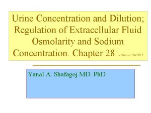 Urine Concentration and Dilution Regulation of Extracellular Fluid