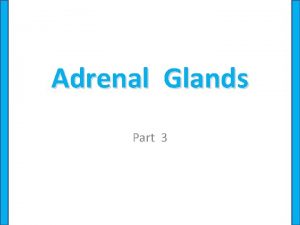 Adrenal Glands Part 3 Adrenal Medulla The adrenal