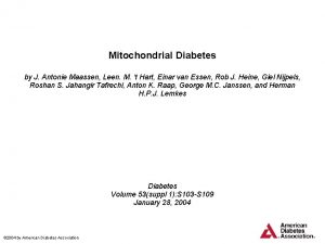 Mitochondrial Diabetes by J Antonie Maassen Leen M