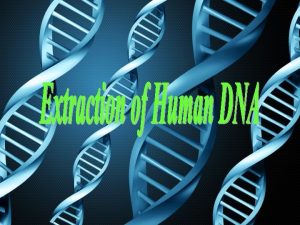 Experiment Goals Isolation of genomic DNA from human