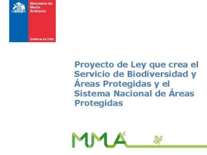 Proyecto de Ley que crea el Servicio de