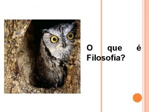 O que Filosofia Surgida na Grcia por volta