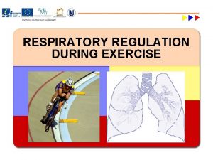 RESPIRATORY REGULATION DURING EXERCISE Respirationdelivery of oxygen to