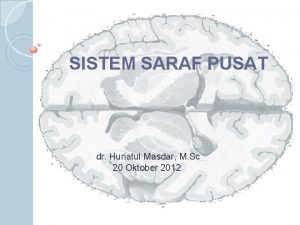 SISTEM SARAF PUSAT dr Huriatul Masdar M Sc