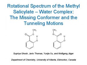 Rotational Spectrum of the Methyl Salicylate Water Complex