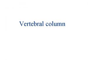 Vertebral column The vertebral column is the central