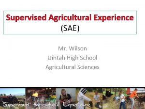 Supervised Agricultural Experience SAE Mr Wilson Uintah High