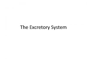 The Excretory System What is Excretion Excretion the