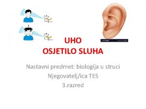 UHO OSJETILO SLUHA Nastavni predmet biologija u struci