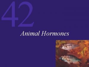 42 Animal Hormones 42 Animal Hormones Introduction Hormones