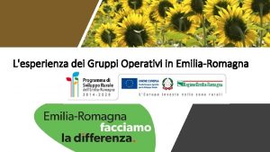 Lesperienza dei Gruppi Operativi in EmiliaRomagna Obiettivi Ammodernamento