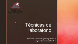 z Tcnicas de laboratorio Conocer el fundamento qumico