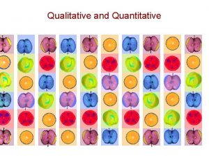 Qualitative and Quantitative Qualitative and quantitative Orientation Both