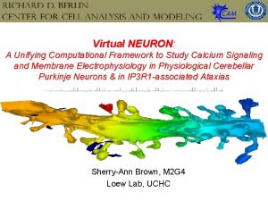 Virtual NEURON A Unifying Computational Framework to Study