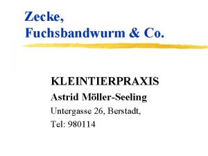 Zecke Fuchsbandwurm Co KLEINTIERPRAXIS Astrid MllerSeeling Untergasse 26