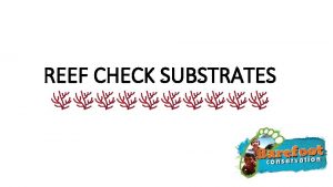 REEF CHECK SUBSTRATES SUBSTRATE CATEGORIES 1 HC 2