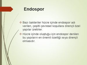 Endospor Baz bakteriler hcre iinde endospor ad verilen