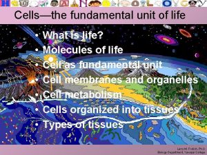 Cellsthe fundamental unit of life What is life