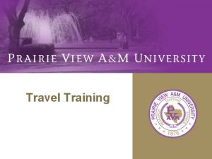 Travel Training Travel Services Purpose Objectives v Travel