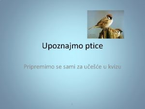 Upoznajmo ptice Pripremimo se sami za uee u