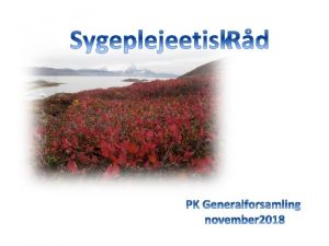 Baggrund og forml med et sygeplejeetisk rd Status