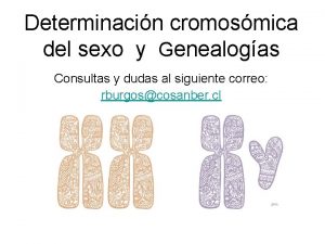 Determinacin cromosmica del sexo y Genealogas Consultas y