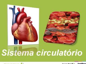 Sistema circulatrio O sangue lquido vermelho e viscoso