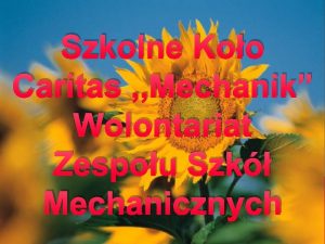 Szkolne Koo Caritas Mechanik Wolontariat Zespou Szk Mechanicznych