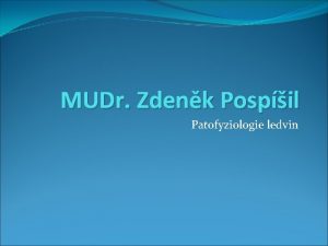 MUDr Zdenk Pospil Patofyziologie ledvin Anatomie moovho systemu