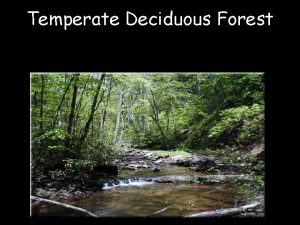 Temperate Deciduous Forest Temperate Deciduous Forest Moderate temperatures