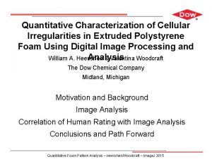 Title here Quantitative Characterization of Cellular Irregularities in