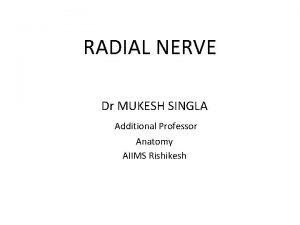 RADIAL NERVE Dr MUKESH SINGLA Additional Professor Anatomy
