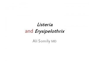 Listeria and Erysipelothrix Ali Somily MD Classification Genus