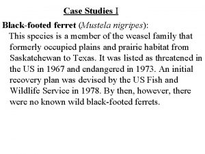 Case Studies I Blackfooted ferret Mustela nigripes This