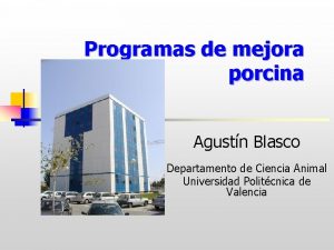 Programas de mejora porcina Agustn Blasco Departamento de