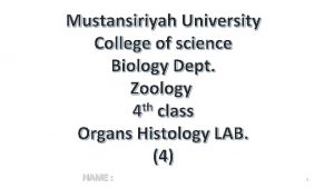Mustansiriyah University College of science Biology Dept Zoology