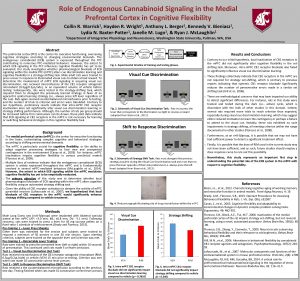 Role of Endogenous Cannabinoid Signaling in the Medial