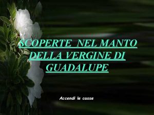 SCOPERTE NEL MANTO DELLA VERGINE DI GUADALUPE Accendi