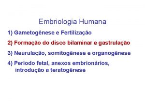 Embriologia Humana 1 Gametognese e Fertilizao 2 Formao