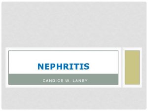 NEPHRITIS CANDICE W LANEY WHAT IS NEPHRITIS It