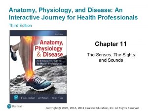 Anatomy Physiology and Disease An Interactive Journey for